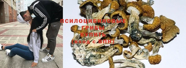 трава Зеленодольск