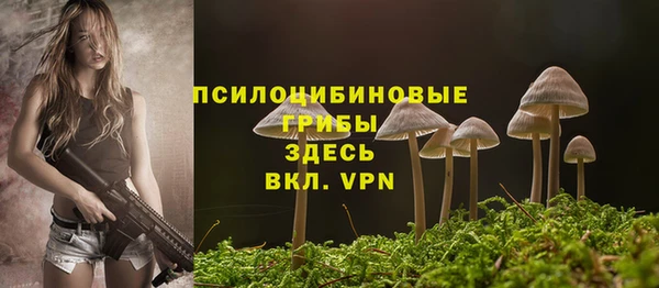 герыч Зеленокумск