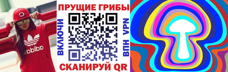 mega как войти  Свирск  Галлюциногенные грибы GOLDEN TEACHER 